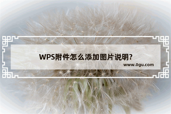 WPS附件怎么添加图片说明?
