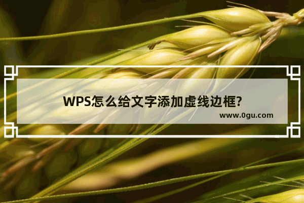 WPS怎么给文字添加虚线边框?