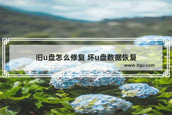 旧u盘怎么修复 坏u盘数据恢复