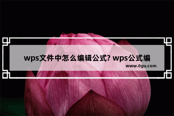 wps文件中怎么编辑公式? wps公式编辑器的使用教程
