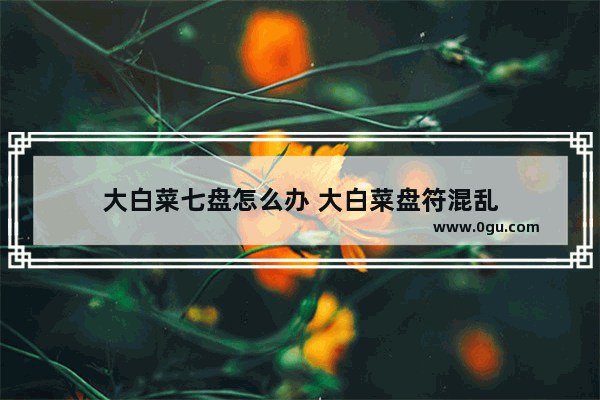 大白菜七盘怎么办 大白菜盘符混乱