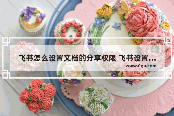 飞书怎么设置文档的分享权限 飞书设置文档的分享权限的方法