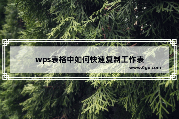 wps表格中如何快速复制工作表