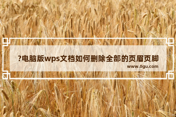 ?电脑版wps文档如何删除全部的页眉页脚