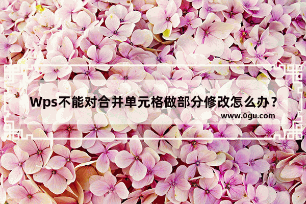 Wps不能对合并单元格做部分修改怎么办？