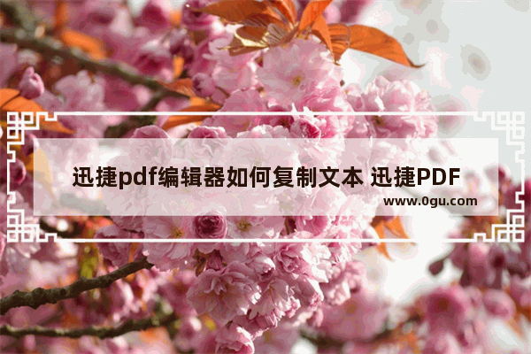 迅捷pdf编辑器如何复制文本 迅捷PDF编辑器复制文本的方法