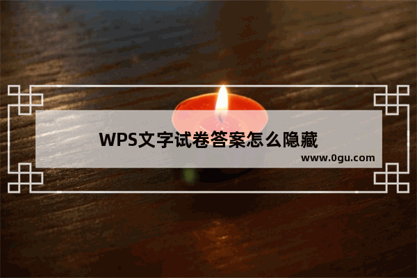 WPS文字试卷答案怎么隐藏