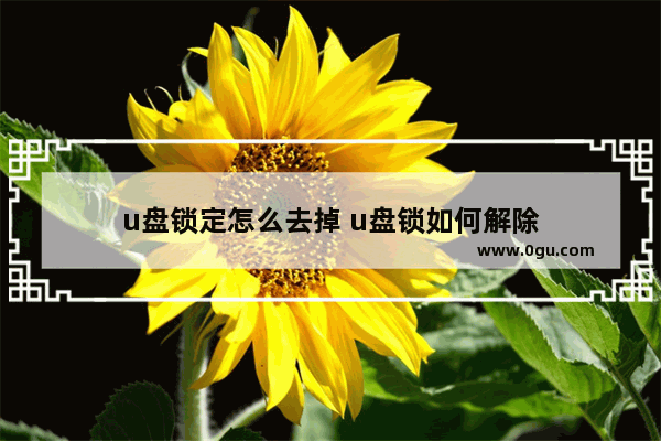 u盘锁定怎么去掉 u盘锁如何解除