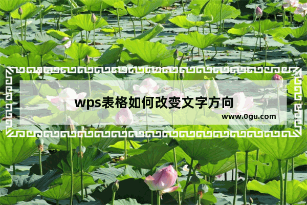 wps表格如何改变文字方向