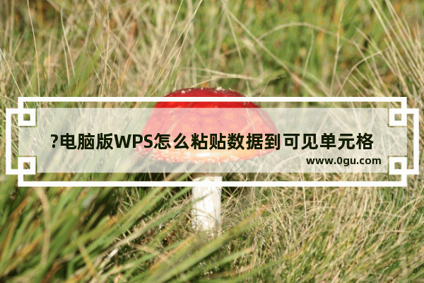 ?电脑版WPS怎么粘贴数据到可见单元格