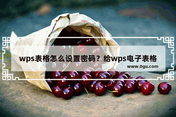 wps表格怎么设置密码？给wps电子表格设置密码教程