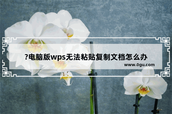 ?电脑版wps无法粘贴复制文档怎么办