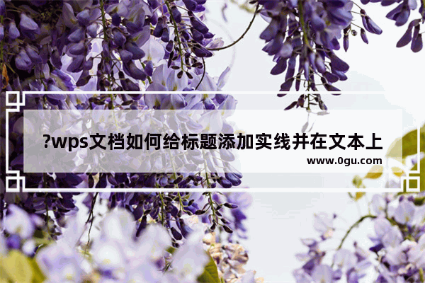 ?wps文档如何给标题添加实线并在文本上插入关系图