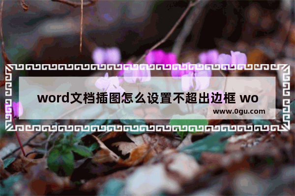 word文档插图怎么设置不超出边框 word文档图片过大的解决方法