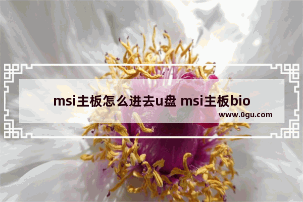 msi主板怎么进去u盘 msi主板bios设置u盘启动win10
