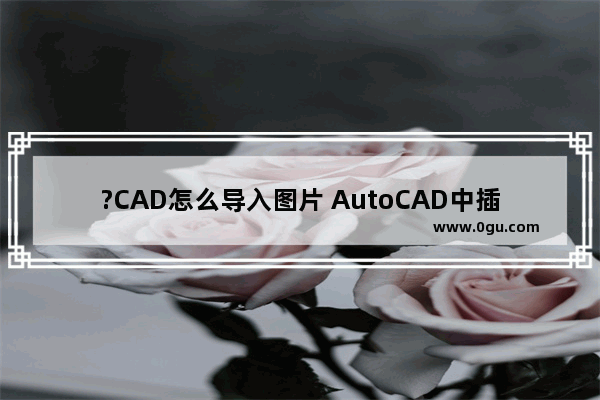 ?CAD怎么导入图片 AutoCAD中插入图片的方法教程