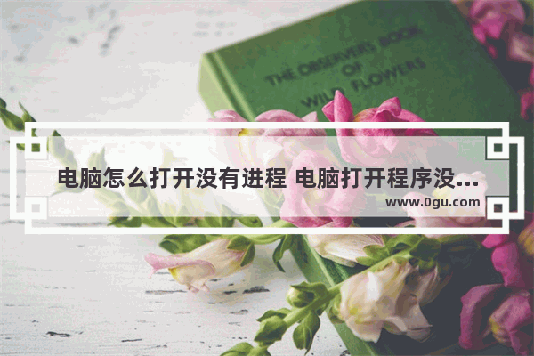 电脑怎么打开没有进程 电脑打开程序没有窗口有进程