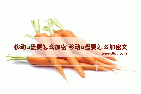 移动u盘要怎么加密 移动u盘要怎么加密文件