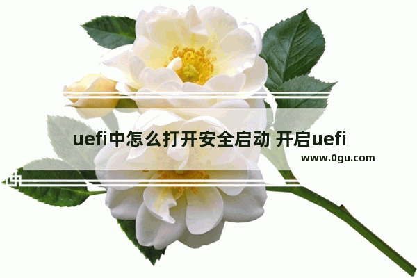 uefi中怎么打开安全启动 开启uefi安全启动