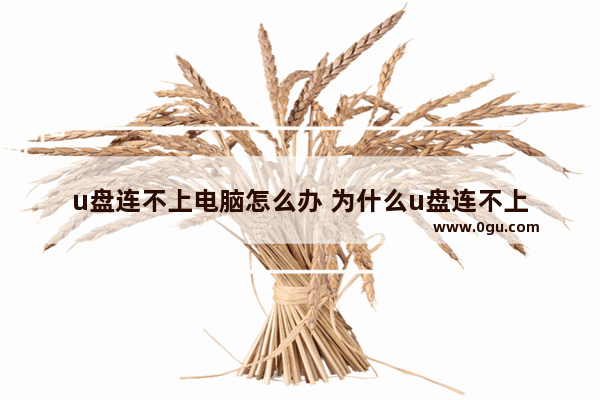 u盘连不上电脑怎么办 为什么u盘连不上