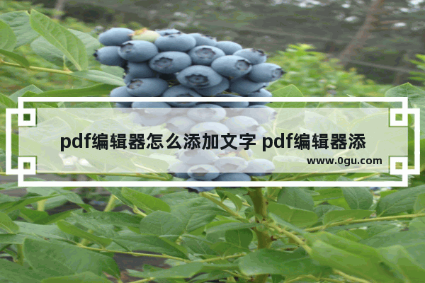 pdf编辑器怎么添加文字 pdf编辑器添加文字内容的方法
