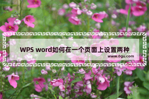 WPS word如何在一个页面上设置两种方向文字