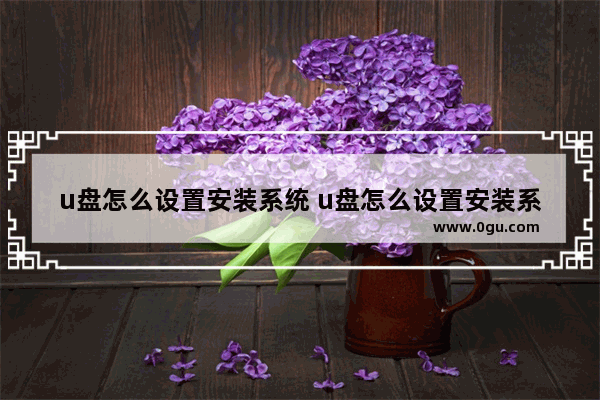 u盘怎么设置安装系统 u盘怎么设置安装系统启动