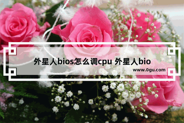 外星人bios怎么调cpu 外星人bios界面