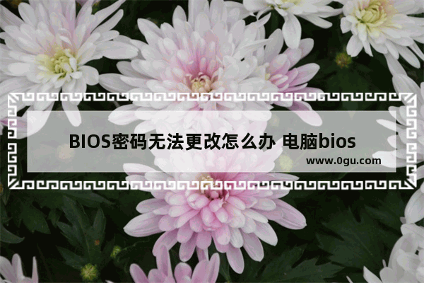 BIOS密码无法更改怎么办 电脑bios密码更改