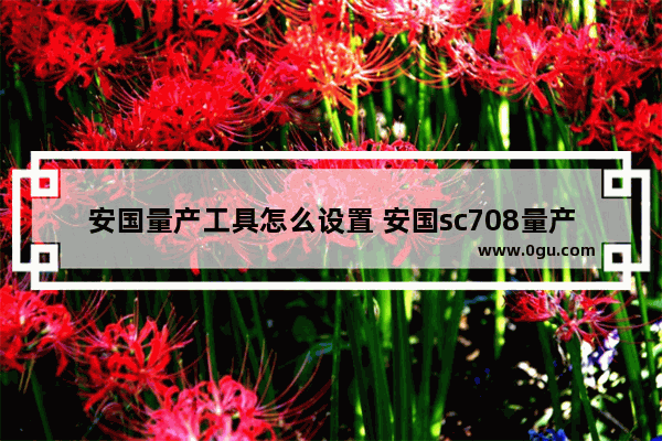 安国量产工具怎么设置 安国sc708量产教程