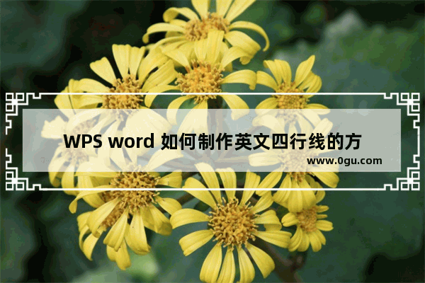 WPS word 如何制作英文四行线的方法