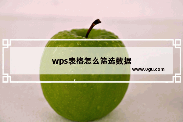 wps表格怎么筛选数据