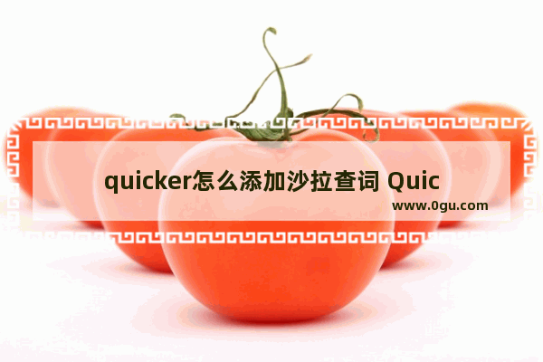 quicker怎么添加沙拉查词 Quicker安装沙拉查词工具的方法