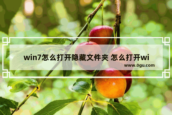 win7怎么打开隐藏文件夹 怎么打开win7隐藏的文件夹