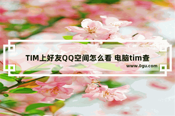 TIM上好友QQ空间怎么看 电脑tim查看好友空间的方法