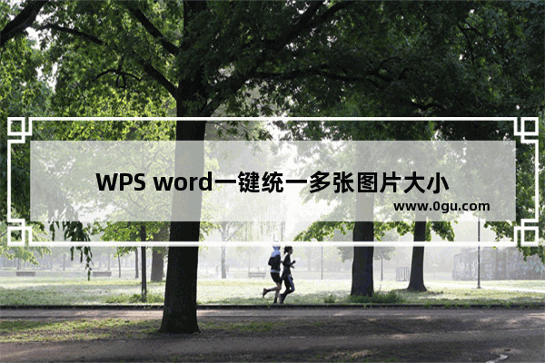 WPS word一键统一多张图片大小