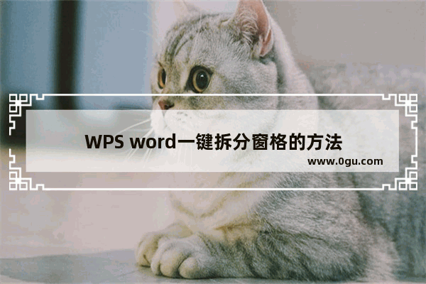 WPS word一键拆分窗格的方法