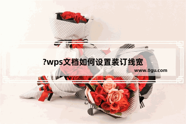 ?wps文档如何设置装订线宽