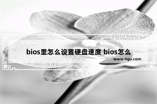 bios里怎么设置硬盘速度 bios怎么调硬盘
