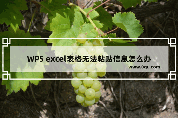 WPS excel表格无法粘贴信息怎么办