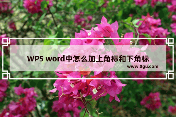WPS word中怎么加上角标和下角标