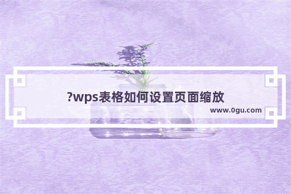 ?wps表格如何设置页面缩放