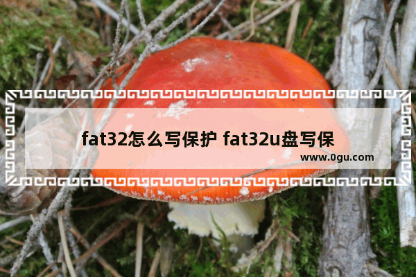 fat32怎么写保护 fat32u盘写保护