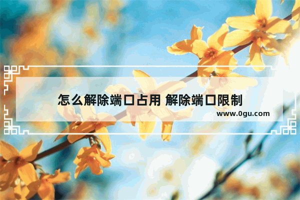 怎么解除端口占用 解除端口限制