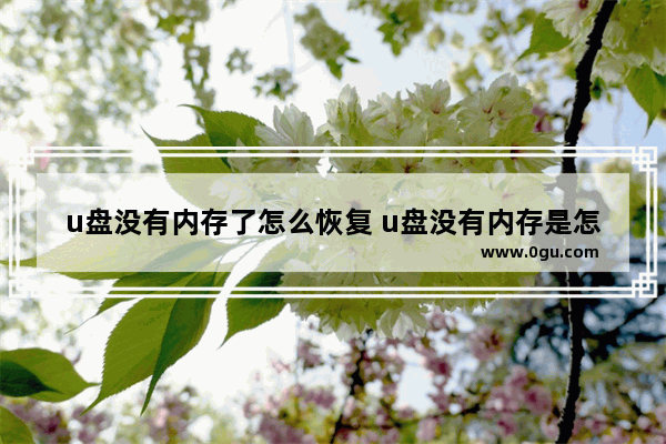 u盘没有内存了怎么恢复 u盘没有内存是怎么回事
