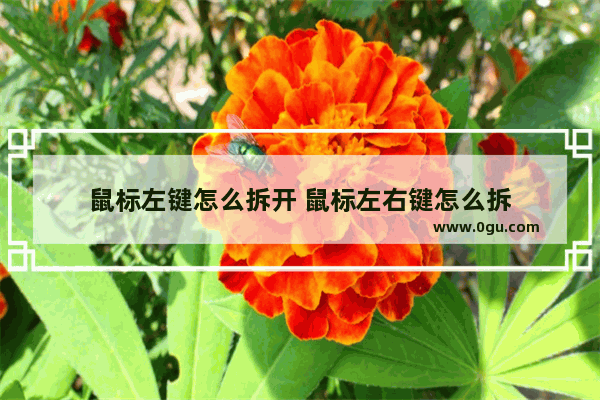 鼠标左键怎么拆开 鼠标左右键怎么拆