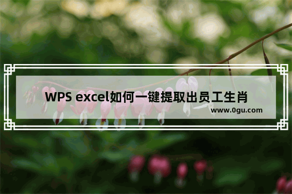 WPS excel如何一键提取出员工生肖