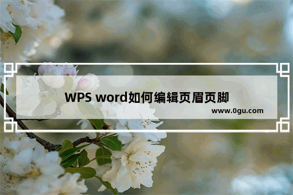 WPS word如何编辑页眉页脚