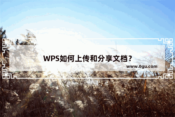 WPS如何上传和分享文档？