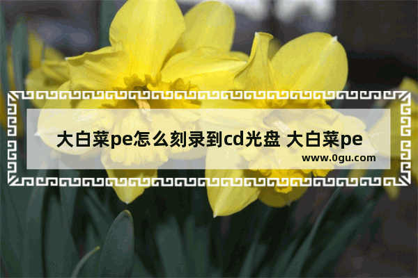 大白菜pe怎么刻录到cd光盘 大白菜pe怎么刻录到cd光盘上